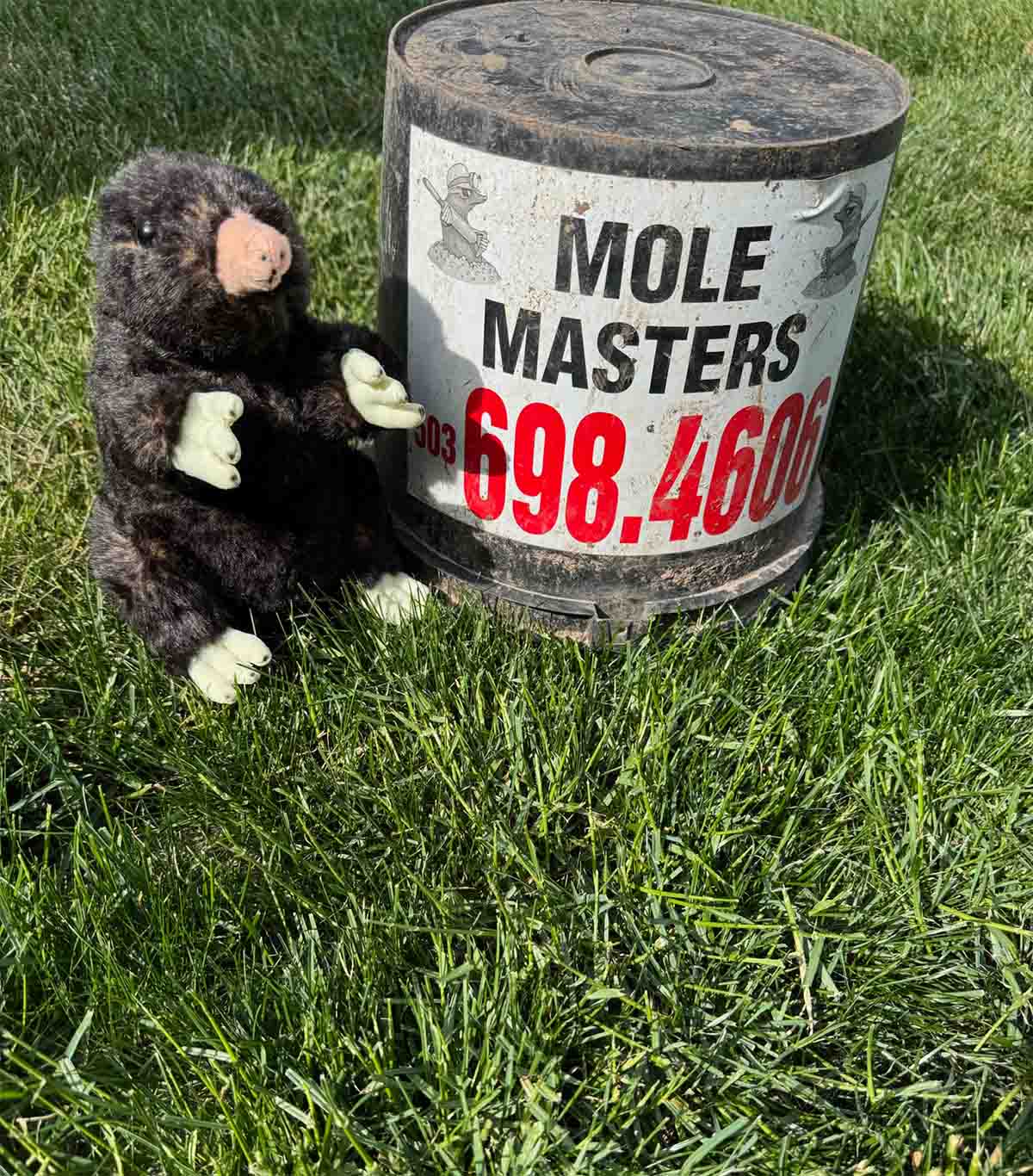Mole Masters yard sign for no-poison mole trapping service in the Portland Metro area
